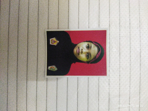 scaled 3fa5a3f5 d10a 4463 8d8c 75cb585d5d8c6568070037091269230.jpg