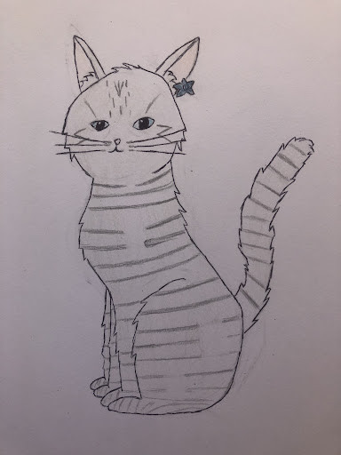 Silverkit/skies!.jpg