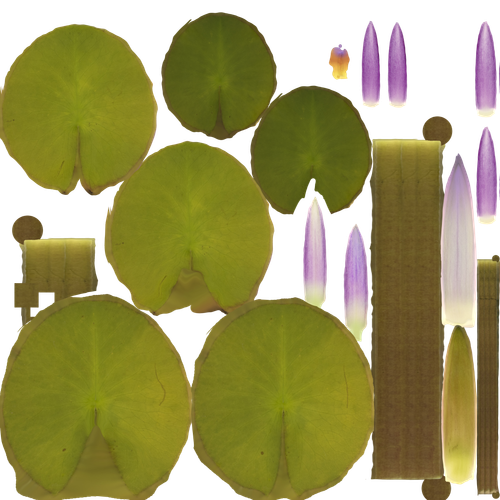 Plant DIFF.png