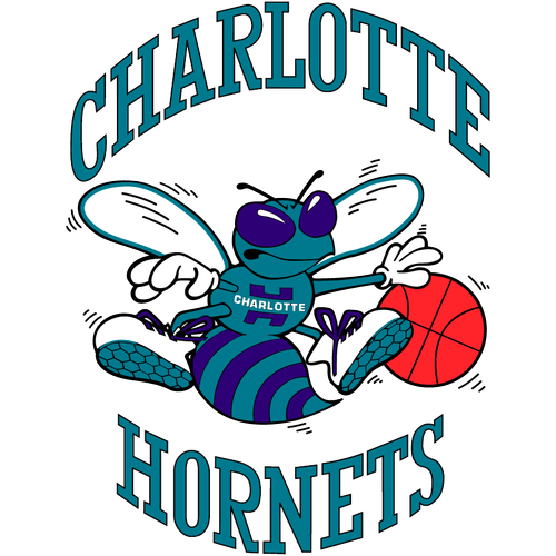 Hornets 1989 2002.png