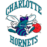 Hornets 1989 2002