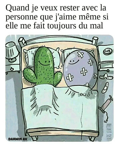 369925905 812519597180551 7945830065810135444 n.jpg