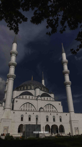 4317C279 86D8 402F 887D 1DFC781C6F15.jpg