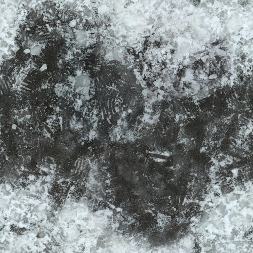 TexturesCom Ice0034 1 seamless S (1).jpg