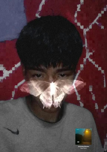 image.jpg