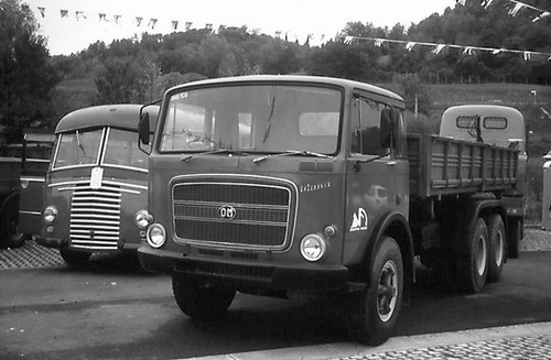 367732478 6625332077524797 1953546040471715563 n.jpg