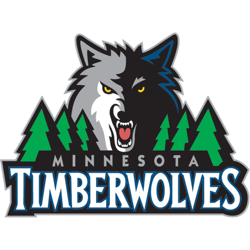 Timberwolves 2009 2017