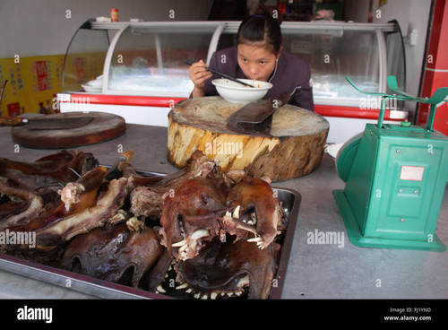 woman eating dog meat in guiyang china FJ1YND.jpg