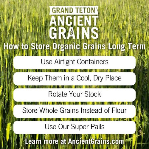 Premium Spelt Flour for Sale | Grand Teton Ancient Grains.jpg