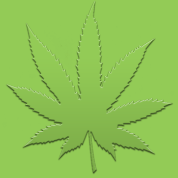 dank350.png