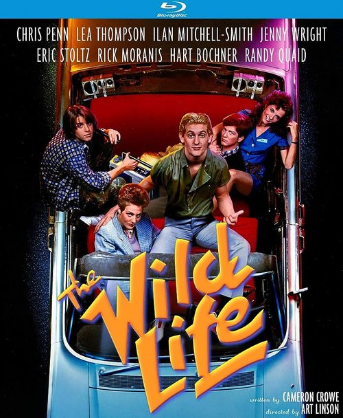 Odjazdowe wakacje / The Wild Life (1984) PL.1080p.BDRip.H264-asik / Lektor PL