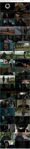 Ghost.Dog.The.Way.of.the.Samurai.1999.CC.BluRay.1080p.DTS HD.MA.5.1.x265.10bit BeiTai preview.jpg