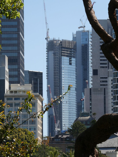 P1001935.jpg