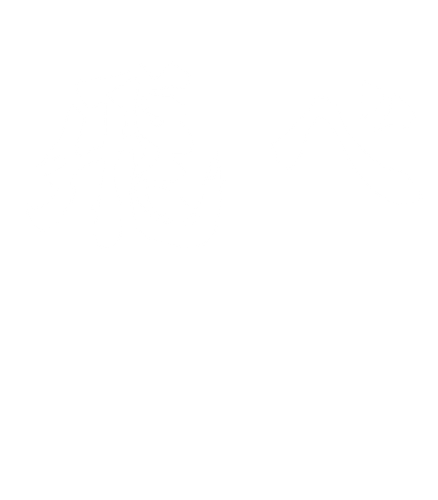 12028719 ds.png