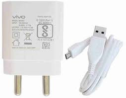 vivo.jpg