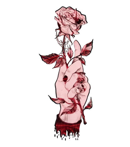 1005003546757969 ds pf.png