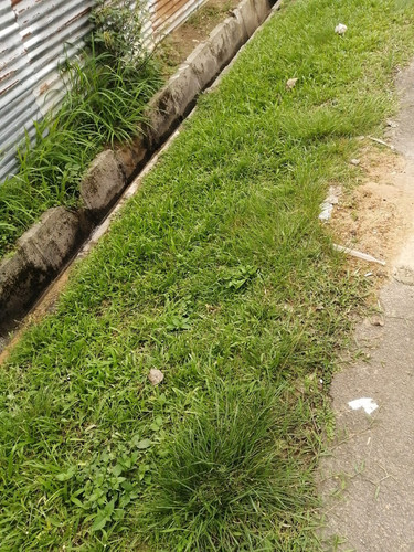 kuala sialang.jpg