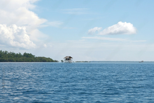 img7.jpg