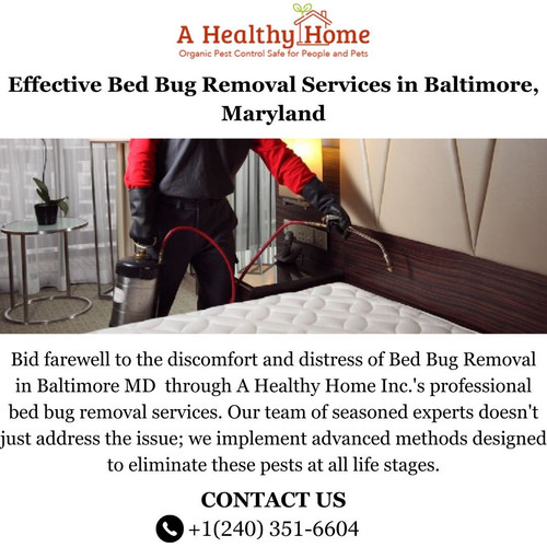 A Healthy Home Inc. image.jpg