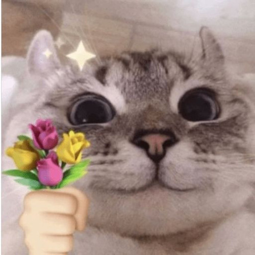 image.jpg