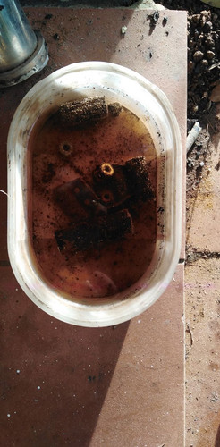 photo 2023 09 06 18 45 21.jpg