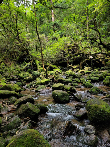 IMG 20230628 WA0094.jpg