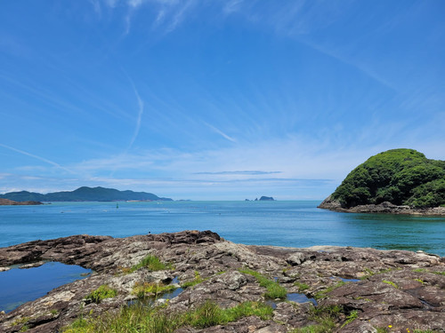 IMG 20230704 WA0011.jpg