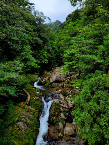 IMG 20230628 WA0102.jpg