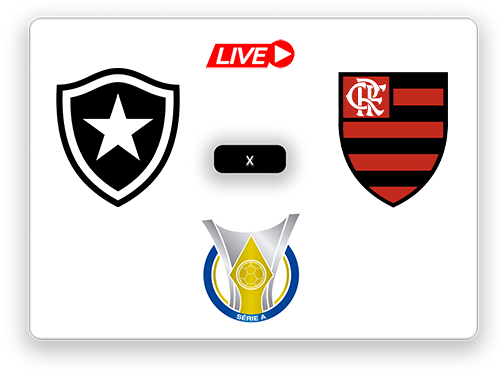 Botafogo x Flamengo Brasileiro Série A.png