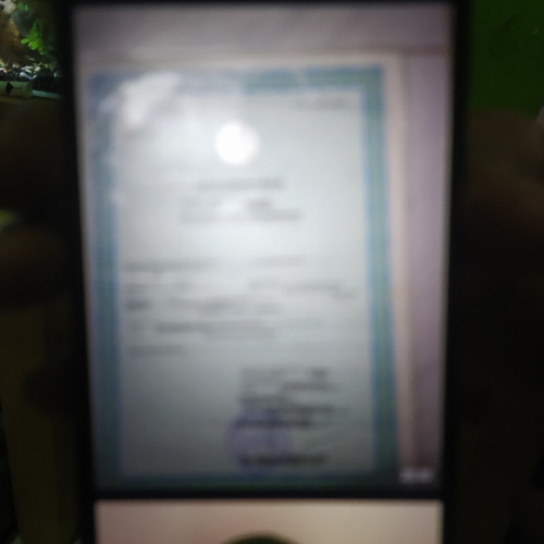 scaled 23a69f6a 6367 4c00 a161 febd9962923e8405603317415172366.jpg