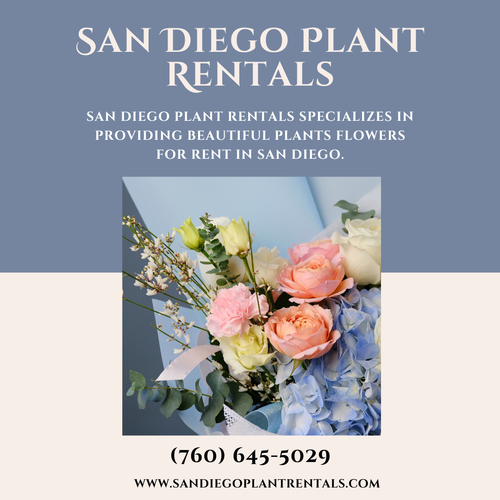 San Diego Plant Rentals 2 sep.png
