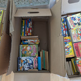 PXL 20230902 105644791