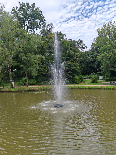 IMG 20230903 152459.jpg
