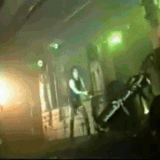 nin.gif