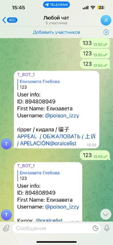 cff853e29ec0.jpg