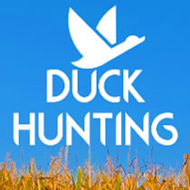 duck1.jpg
