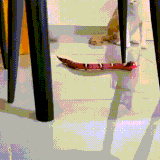 koti2.gif