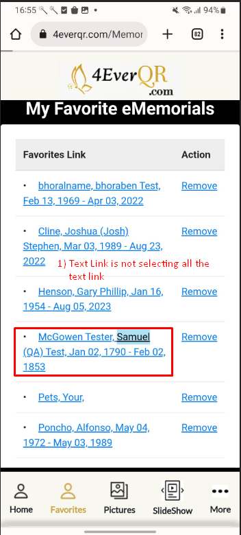 Screenshot 20.png