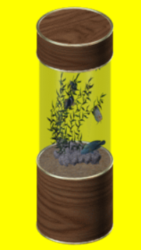 liu aquarium.png