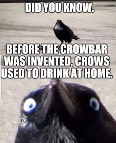 375871224 10229221881027792 2706936093174121490 n.jpg? nc cat=110&ccb=1 7& nc sid=4c1e7d& nc ohc=c O.jpg