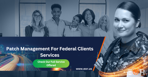 Patch Management For Federal Clients Services.png