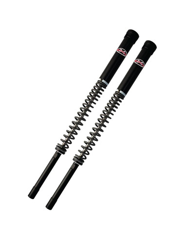 Harley Davidson® Front Forks I Suspension Technologies.jpg