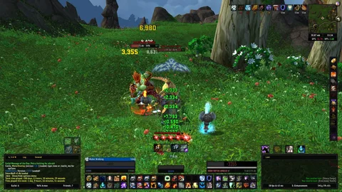 image4.webp