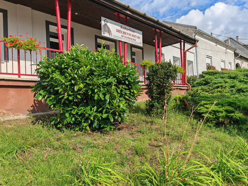 IMG 20230903 155343.jpg