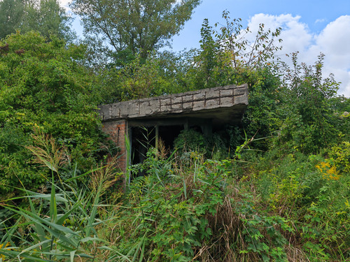 IMG 20230903 154203.jpg