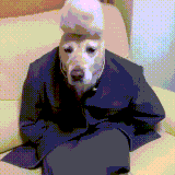 sobaka1.gif