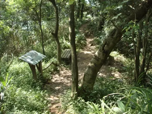 00003 鳶尾山.webp