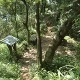 00003 鳶尾山