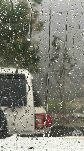 6169BEF0 94B6 45D3 980F 896066AC35AD.jpg