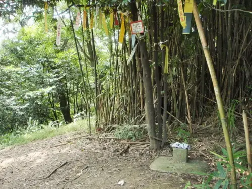00007 福德坑山東峰.webp